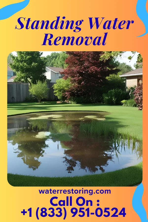 Standing Water Removal in Iuka, IL